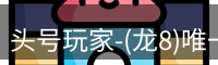 头号玩家娱乐平台